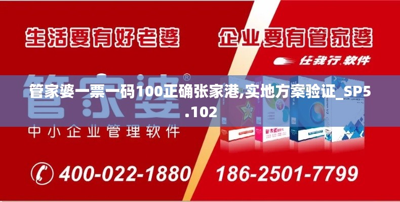 管家婆一票一码100正确张家港,实地方案验证_SP5.102