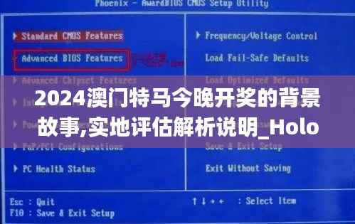 2024澳门特马今晚开奖的背景故事,实地评估解析说明_Holo1.916