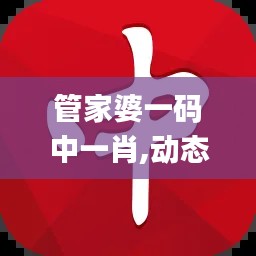 管家婆一码中一肖,动态词语解释定义_10DM6.927