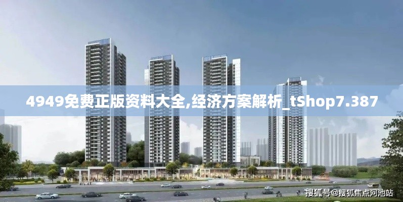 4949免费正版资料大全,经济方案解析_tShop7.387