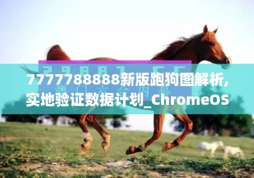 7777788888新版跑狗图解析,实地验证数据计划_ChromeOS4.514