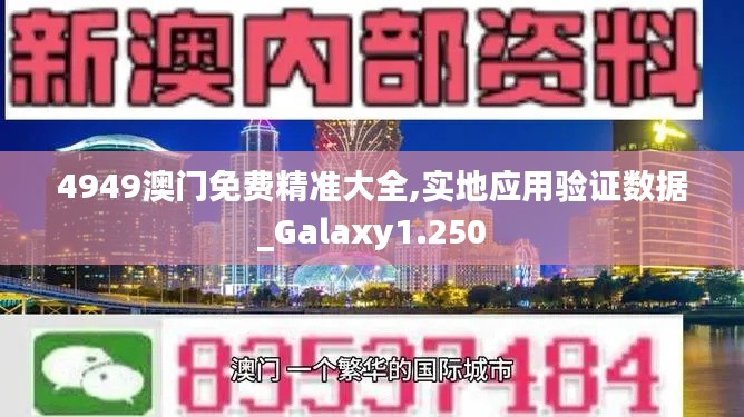 4949澳门免费精准大全,实地应用验证数据_Galaxy1.250
