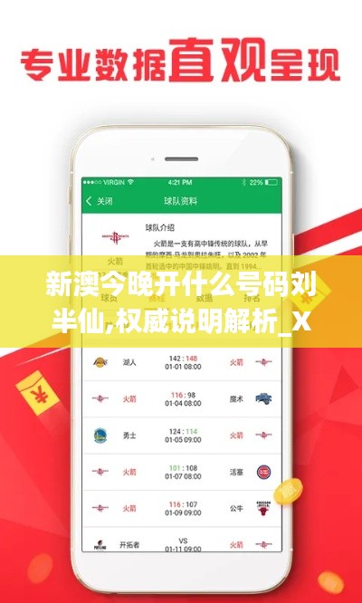 新澳今晚开什么号码刘半仙,权威说明解析_XR4.932
