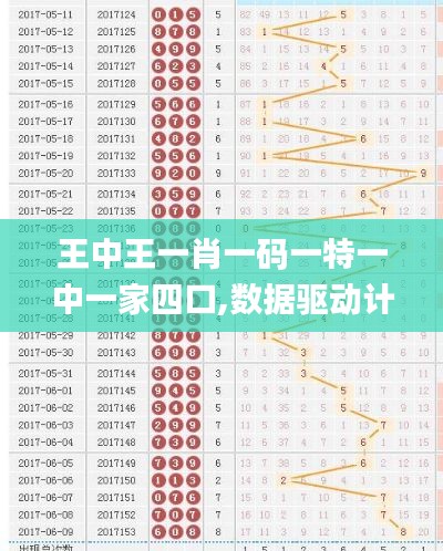 王中王一肖一码一特一中一家四口,数据驱动计划解析_超值版2.410