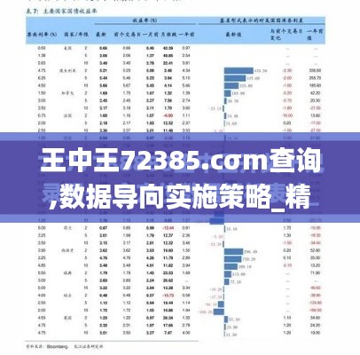 王中王72385.cσm查询,数据导向实施策略_精英版1.756
