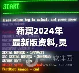 新澳2024年最新版资料,灵活性方案解析_粉丝款5.447