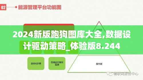 2024新版跑狗图库大全,数据设计驱动策略_体验版8.244