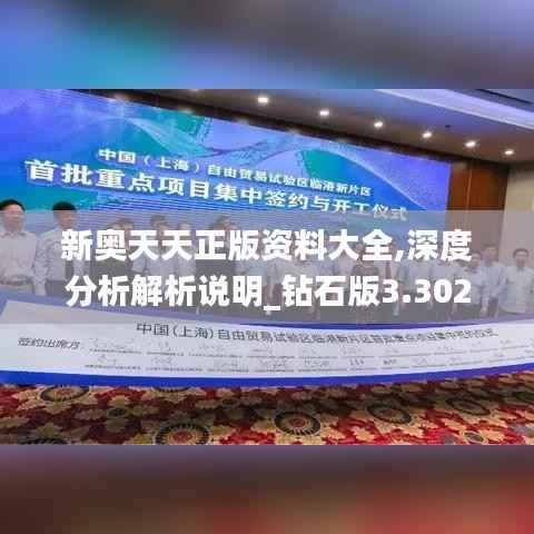 新奥天天正版资料大全,深度分析解析说明_钻石版3.302