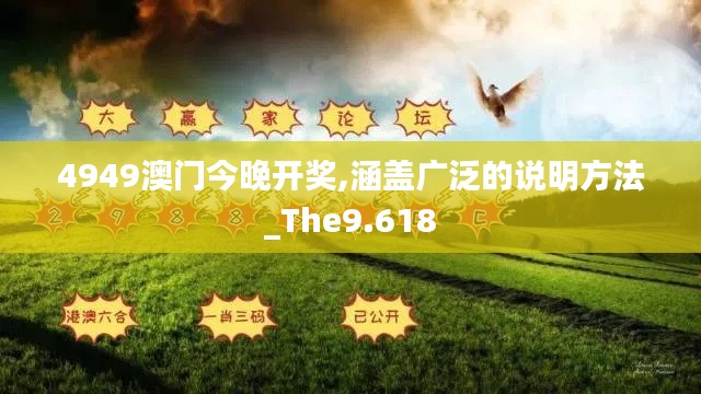 4949澳门今晚开奖,涵盖广泛的说明方法_The9.618