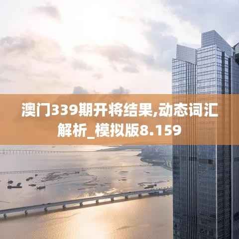 澳门339期开将结果,动态词汇解析_模拟版8.159