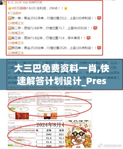 大三巴免费资料一肖,快速解答计划设计_Prestige8.295