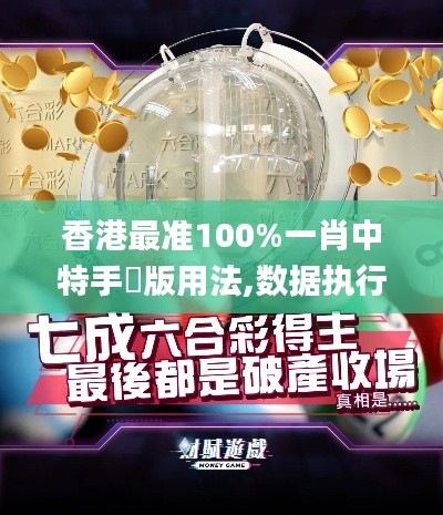 香港最准100%一肖中特手機版用法,数据执行驱动决策_3K15.703