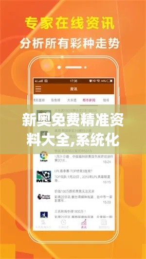 新奥免费精准资料大全,系统化说明解析_Galaxy2.614