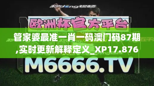 管家婆最准一肖一码澳门码87期,实时更新解释定义_XP17.876