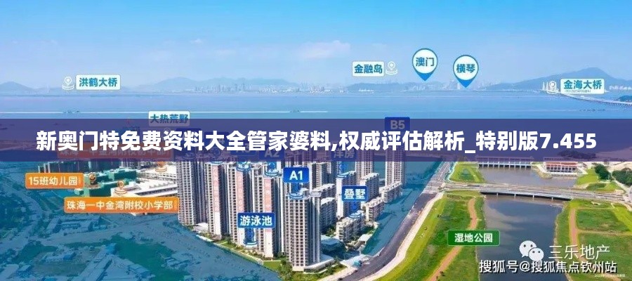 新奥门特免费资料大全管家婆料,权威评估解析_特别版7.455
