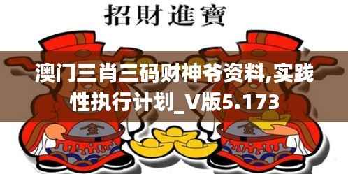 澳门三肖三码财神爷资料,实践性执行计划_V版5.173