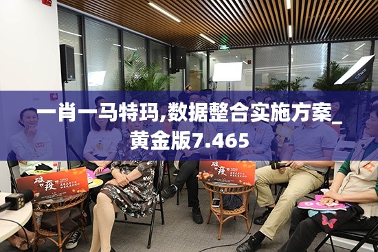 一肖一马特玛,数据整合实施方案_黄金版7.465