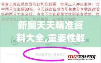 新奥天天精准资料大全,重要性解析方法_VE版6.879