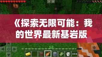 《探索无限可能：我的世界最新基岩版深度解析》