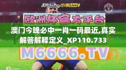 澳门今晚必中一肖一码最近,真实解答解释定义_XP110.733