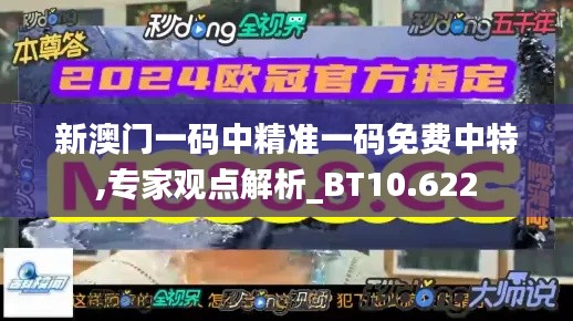 新澳门一码中精准一码免费中特,专家观点解析_BT10.622