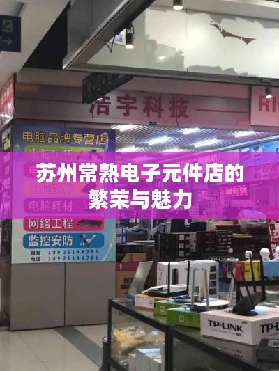 苏州常熟电子元件店的繁荣与魅力