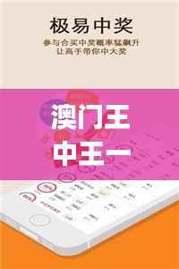 澳门王中王一肖一特一中,综合解答解释定义_黄金版18.940