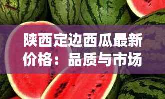 陕西定边西瓜最新价格：品质与市场的完美邂逅