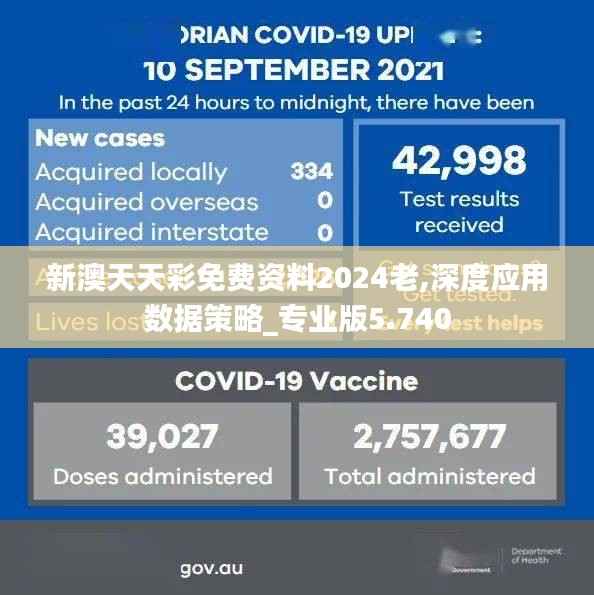 新澳天天彩免费资料2024老,深度应用数据策略_专业版5.740