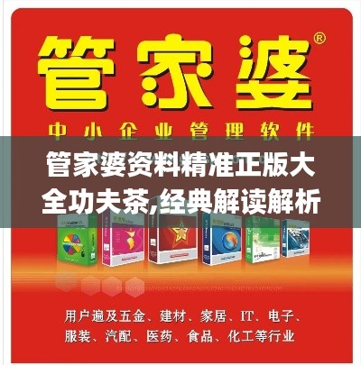管家婆资料精准正版大全功夫茶,经典解读解析_tShop9.376