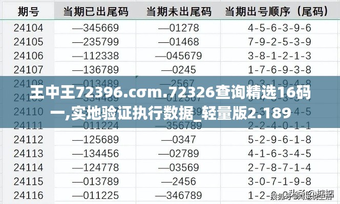 王中王72396.cσm.72326查询精选16码一,实地验证执行数据_轻量版2.189