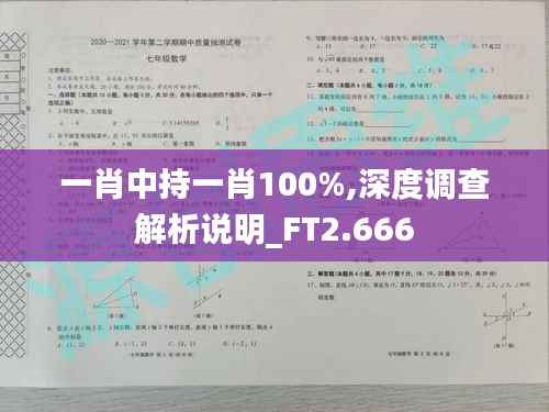 一肖中持一肖100%,深度调查解析说明_FT2.666