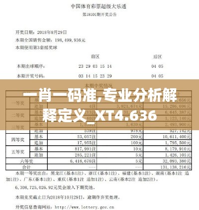 一肖一码准,专业分析解释定义_XT4.636