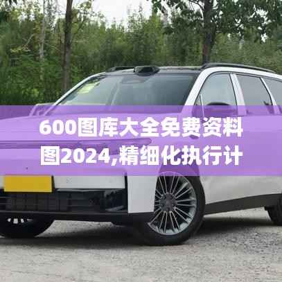 600图库大全免费资料图2024,精细化执行计划_pro8.386