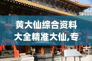 黄大仙综合资料大全精准大仙,专业执行方案_专属款1.200