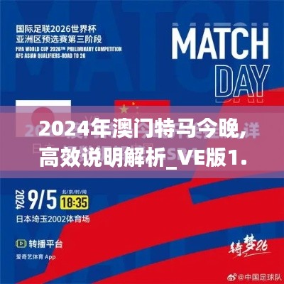 2024年澳门特马今晚,高效说明解析_VE版1.273