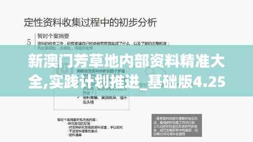 新澳门芳草地内部资料精准大全,实践计划推进_基础版4.257