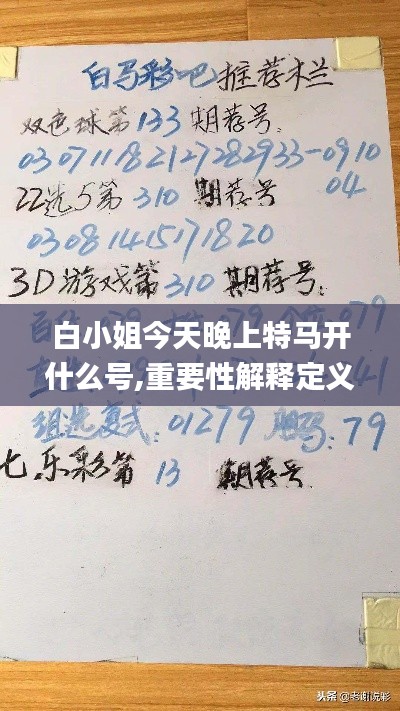 白小姐今天晚上特马开什么号,重要性解释定义方法_进阶版11.868