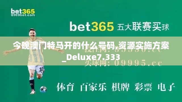 今晚澳门特马开的什么号码,资源实施方案_Deluxe7.333