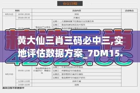 黄大仙三肖三码必中三,实地评估数据方案_7DM15.215