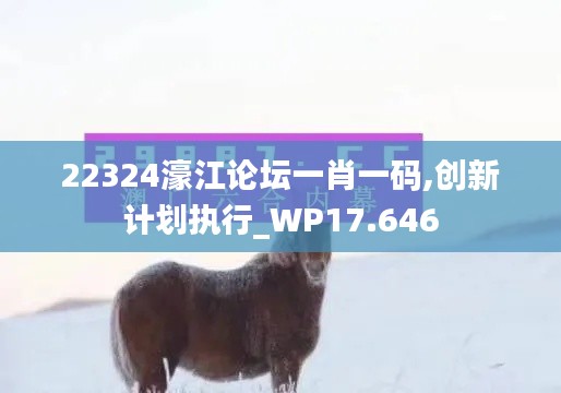 22324濠江论坛一肖一码,创新计划执行_WP17.646