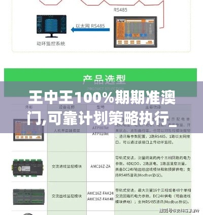 王中王100%期期准澳门,可靠计划策略执行_Phablet2.485
