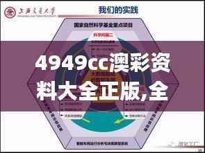 4949cc澳彩资料大全正版,全面实施数据策略_2D10.737