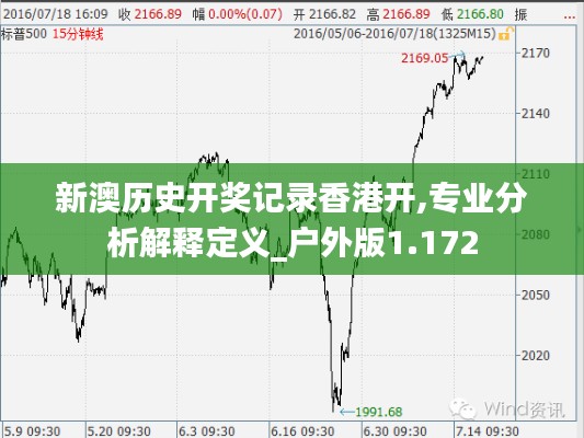 新澳历史开奖记录香港开,专业分析解释定义_户外版1.172