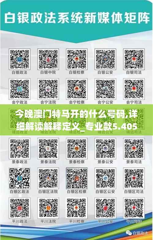 今晚澳门特马开的什么号码,详细解读解释定义_专业款5.405