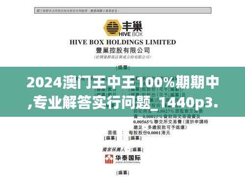 2024澳门王中王100%期期中,专业解答实行问题_1440p3.691