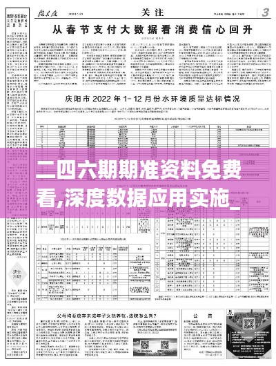 二四六期期准资料免费看,深度数据应用实施_Ultra5.698