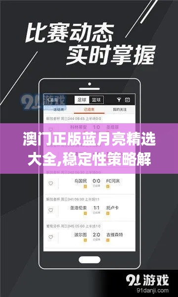 澳门正版蓝月亮精选大全,稳定性策略解析_入门版1.368