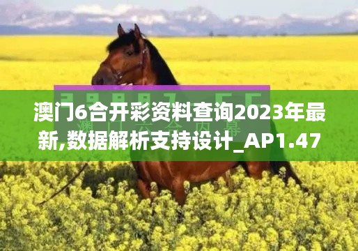 澳门6合开彩资料查询2023年最新,数据解析支持设计_AP1.479