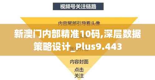 新澳门内部精准10码,深层数据策略设计_Plus9.443